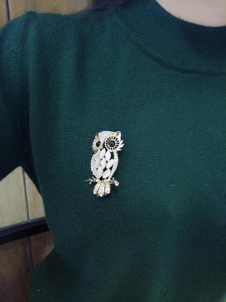 Korean Fashion Cat's Eye Stone Owl Brooch In Gold and Silver