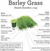 250g Organic Barley Grass Powder Gluten Free Non-GMO Superfood Vegan RAW