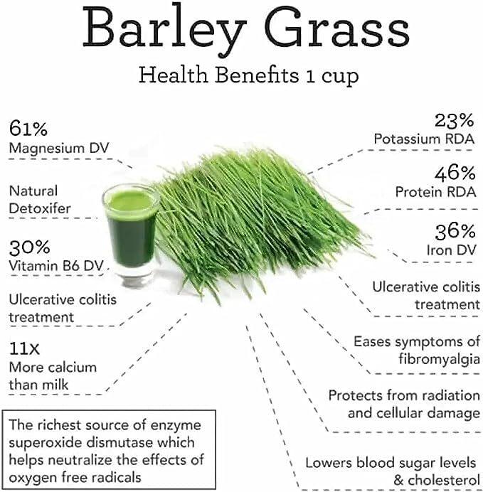 250g Organic Barley Grass Powder Gluten Free Non-GMO Superfood Vegan RAW