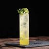 Japanese Style Highball & Cocktail Glass Set