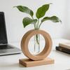 Home Decoration Hydroponic Flower Pot Wooden Small Glass Vase Decorative Vase  Desktop Decor