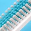 Chahua Shoe & Laundry Brush 2-Piece Set