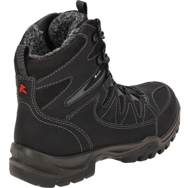 Треккинговые ботинки Ecco Xpedition III GTX