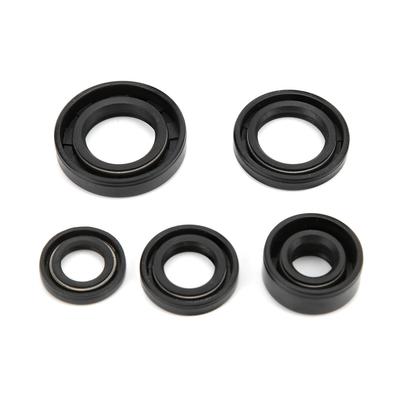 Kit Set Guarnizioni Paraolio Motore Accessorio per Lifan 110cc 125cc 140cc PIT PRO Trail Quad Dirt Bike ATV