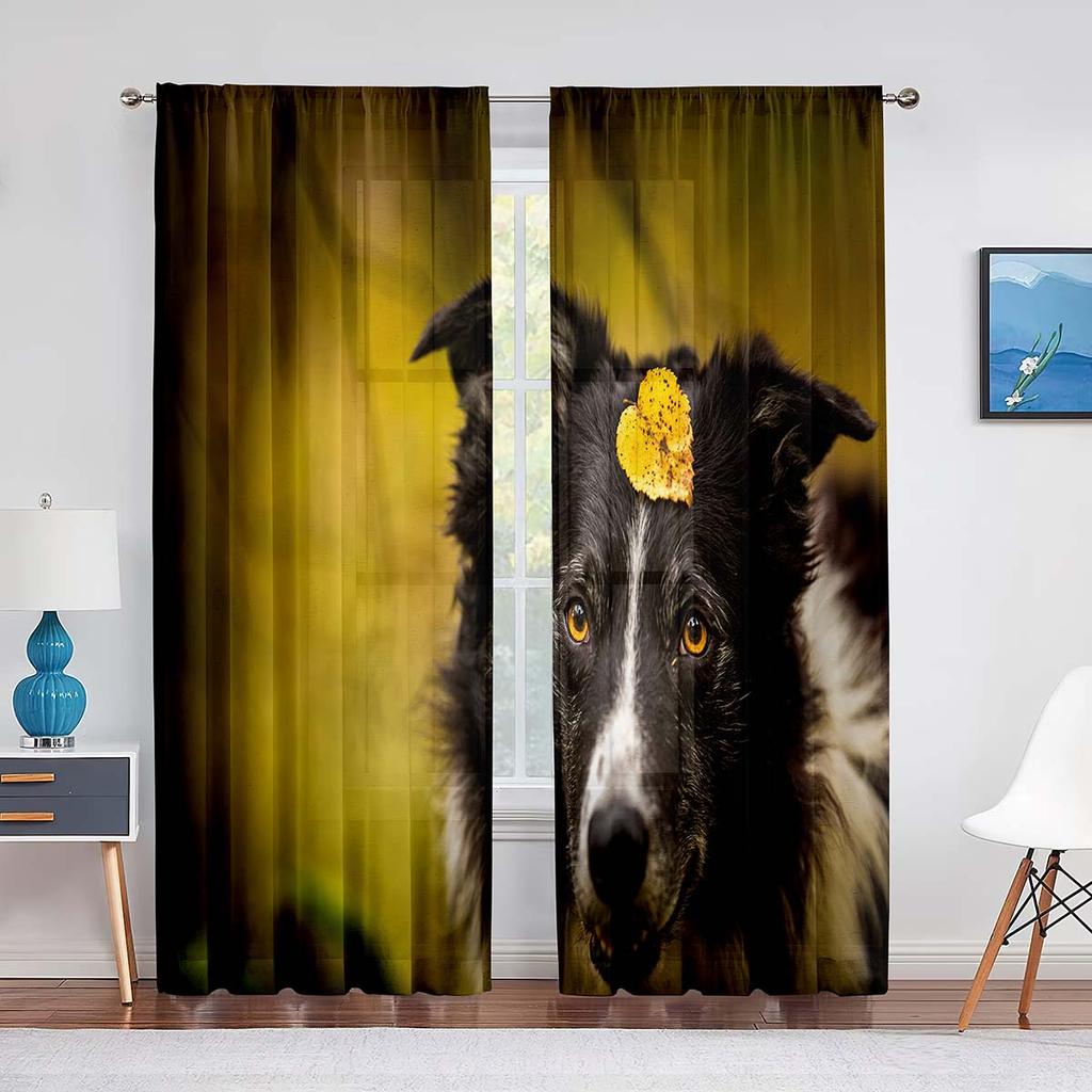 Two Pretty Border Collie Dog Tulle Curtains for Living Room Sheer Transparent Curtains Window for The Bedroom Accessories Decor