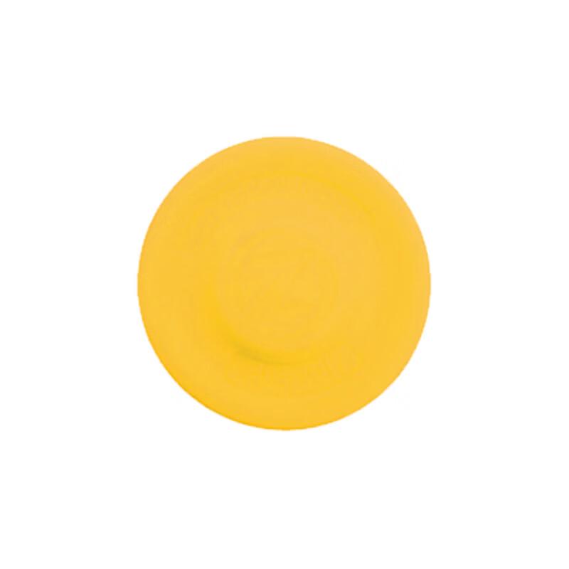 

Kids Mini Flying Discs