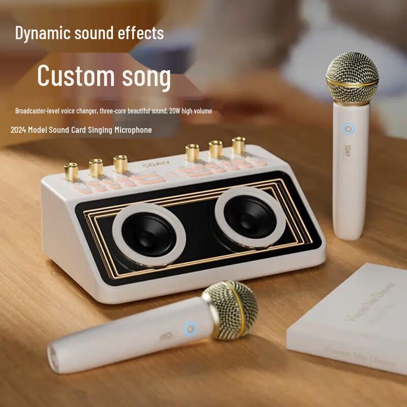 Soaiy SG12 KTV & Guitar All-in-One Sound Card Speaker
