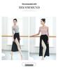 Women's Long Sleeve Mesh Ballet Dance Top - Classical Chinese Dance Costume