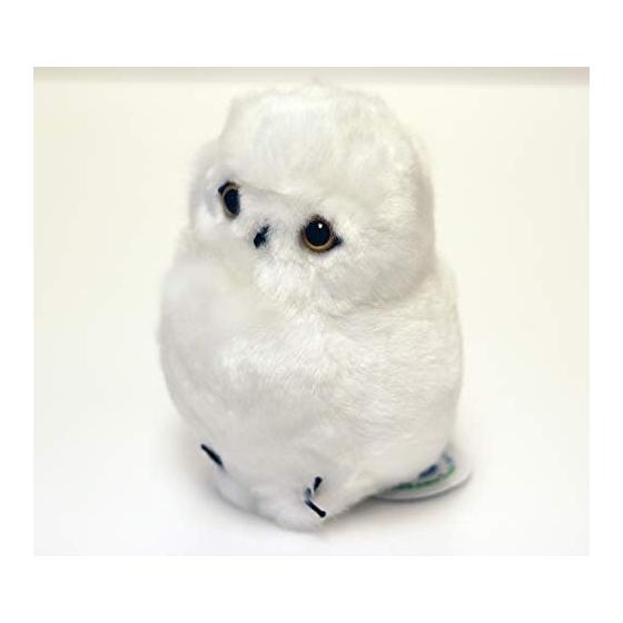 Yoshinori White Owl