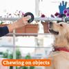 Tires, Dog  Toys That  The Canine Teeth From Damage, Tires Used To Prevent Dogs From Gnawing, Super Chew Toys, Toys Specially Designed For Dogs.
