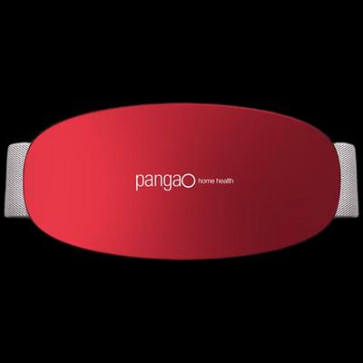 Pangao Smart Waist and Abdomen Massager CN Plug (adapter Included)