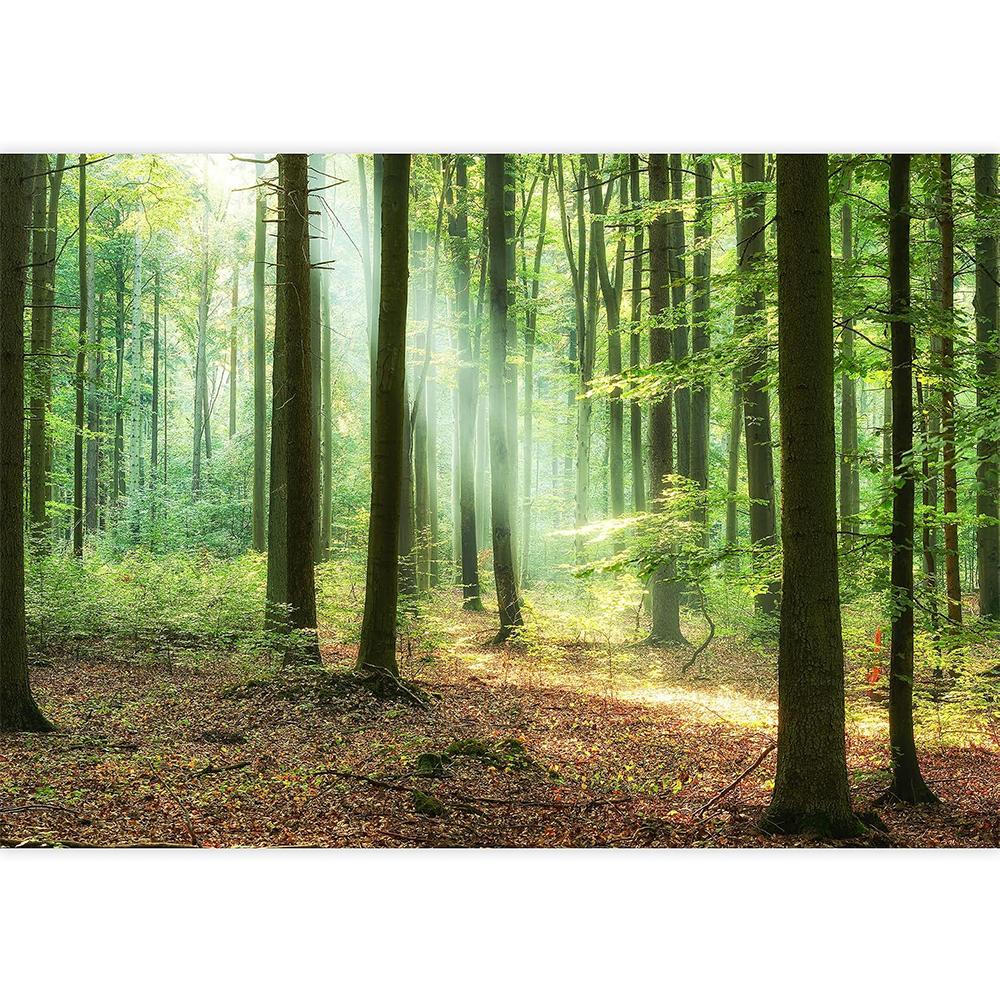 Sunny Green Forest Wallpaper Living Room Bedroom Forest Mural Home Decor