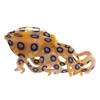 Unieke Oceaan Serie Haarklem Acetate Materiaal Antislip Haarspeld Lichtgewicht Handgemaakte Zeedier Clip Dames Accessoires