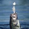 1pc Glide Baits For Pike Salmon Trout Topwater Single-Jointed Swimbait Bass Hard Fishing Lure