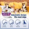 38/70cm Dog Calming Collar Pet Cat Anxiety Reducing Pheromone Collar for Dogs Releases Pheromones for 60Days Helps Calm for Dogs