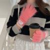 WoWarm and Cold Cycling Knitted Gloves with Rabbit Fur Label Long Wrist  Fingerless  Touch Screen, Korean