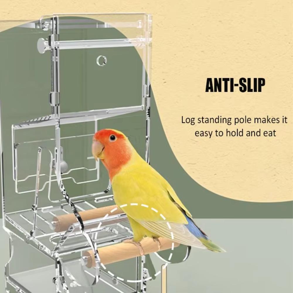 Adjustable Feeding Speed Parrot Feeder with Bottom Drawer Transparent Food Container  Parakeet