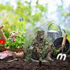 Alv av tre Akrylskilt Stake Værbestandig 2D Flat Fe Stake Plante Potte Dekorasjon Innendørs Utendørs Hage Gård Plen Terrasse Ornament