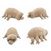 Tardigrade Water Bear Plush Toy Realistic Soft Animal Stuffed Doll Great Pillow Gift for Biology Enthusiasts Kids Home Decor