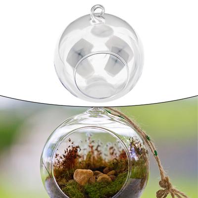 Hängende Glaskugelvase, Sukkulenten-Terrarium, Behälter, Blumentöpfe für Hochzeit, Party, Haus, Garten, Shop-Display, Dekorationen