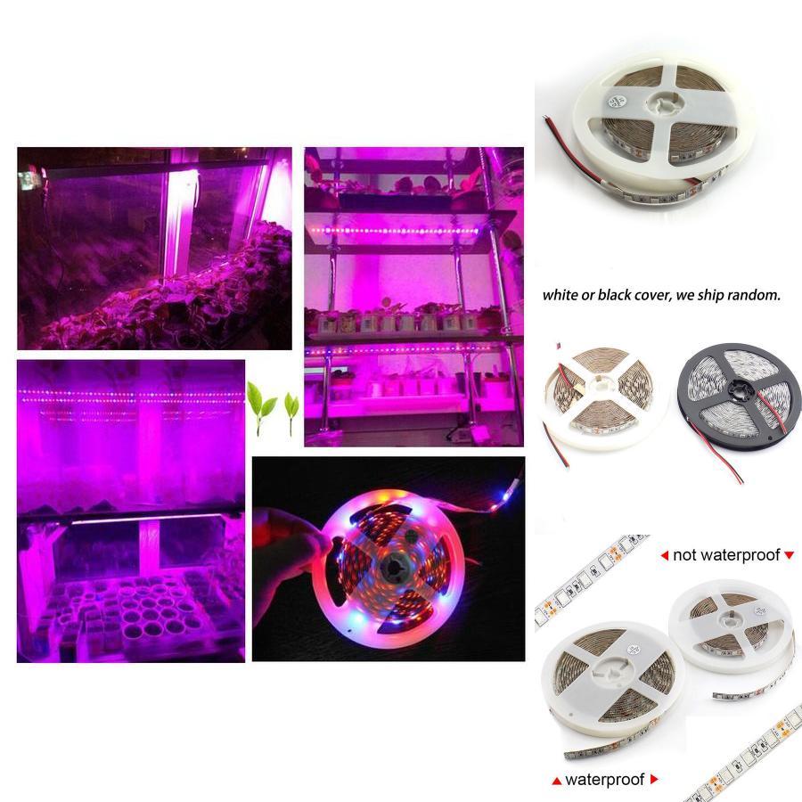 Premium Quality Led Grow Lights Waterproof Growing Led Strip For Seedlings And Greenhouse