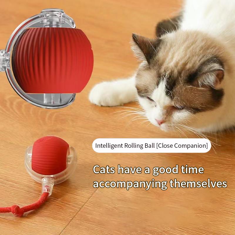 Interactive Cat Toy Ball Super Drive Cat Rolling Balls with Bird Chirping Motion Activated Sensor Pet Kitten Teaser Game Toys