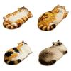 Soft Surface Cat Shape Floor Mat 2D Printed Crystal Velvet Entryway Door Mat Cool Floor Barrier Skin Friendly Animal Area Rug
