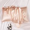 Heavyweight 100% Mulberry Silk Pillowcase (48x74cm) - Single Person Silk Cover