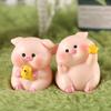 Pig Ornament Small Pink Piglet Synthetic Resin Figurine with Raincoat Yellow Duck Micro Landscape Ornament
