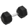 VidaXL Dumbbell 22.5 Kg Cast Iron 93609