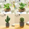 Creative Wooden Basin with Artificial Green Plant Bonsai Ornament for Display and Decoration.