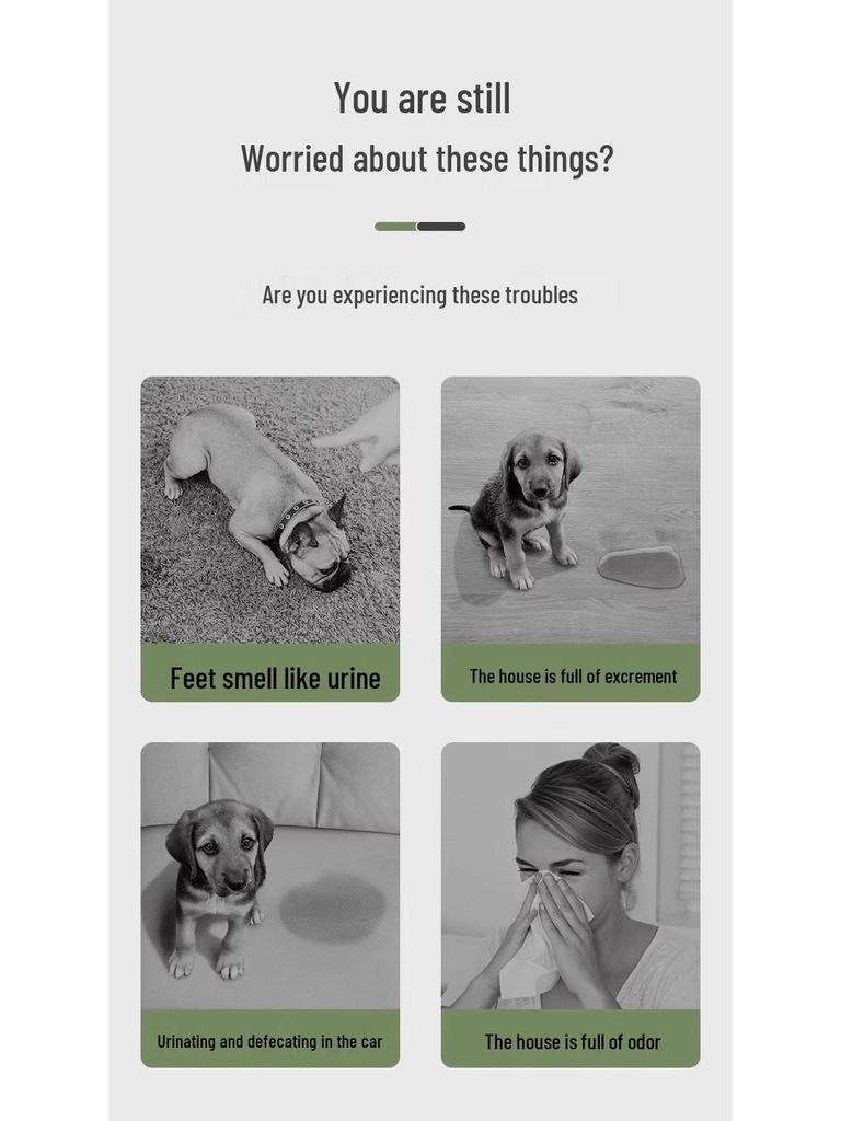 Adhesive Dog Pee Pads: Thick, Absorbent, Disposable, Deodorizing Diapers