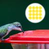 20Pcs Bird Feeder Flowers Plastic Replacement Flower Shape Hummingbird Feeder Parts Outdoor Garden Decoration Feeding Port
