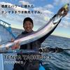 Daiwa Tenya Tachiuo X 73-180 R Black