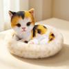 Divertente Serie Gatto Riposante Peluche Combinati Delicato Carino Realistico Gatto Domestico Che Dorme a Letto & Nido Giocattoli Kawaii Decorazione Stanza