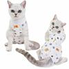Cat Surgery & Weaning Suit: Anti-Lick Spay/Postpartum Wear for Spring & Summer, Four-Legged Design.