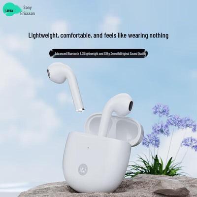 Soaiy SR10 True Wireless Bluetooth Earbuds