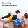 Zhen Chang Sheng Thickened Massage & Yoga Ball
