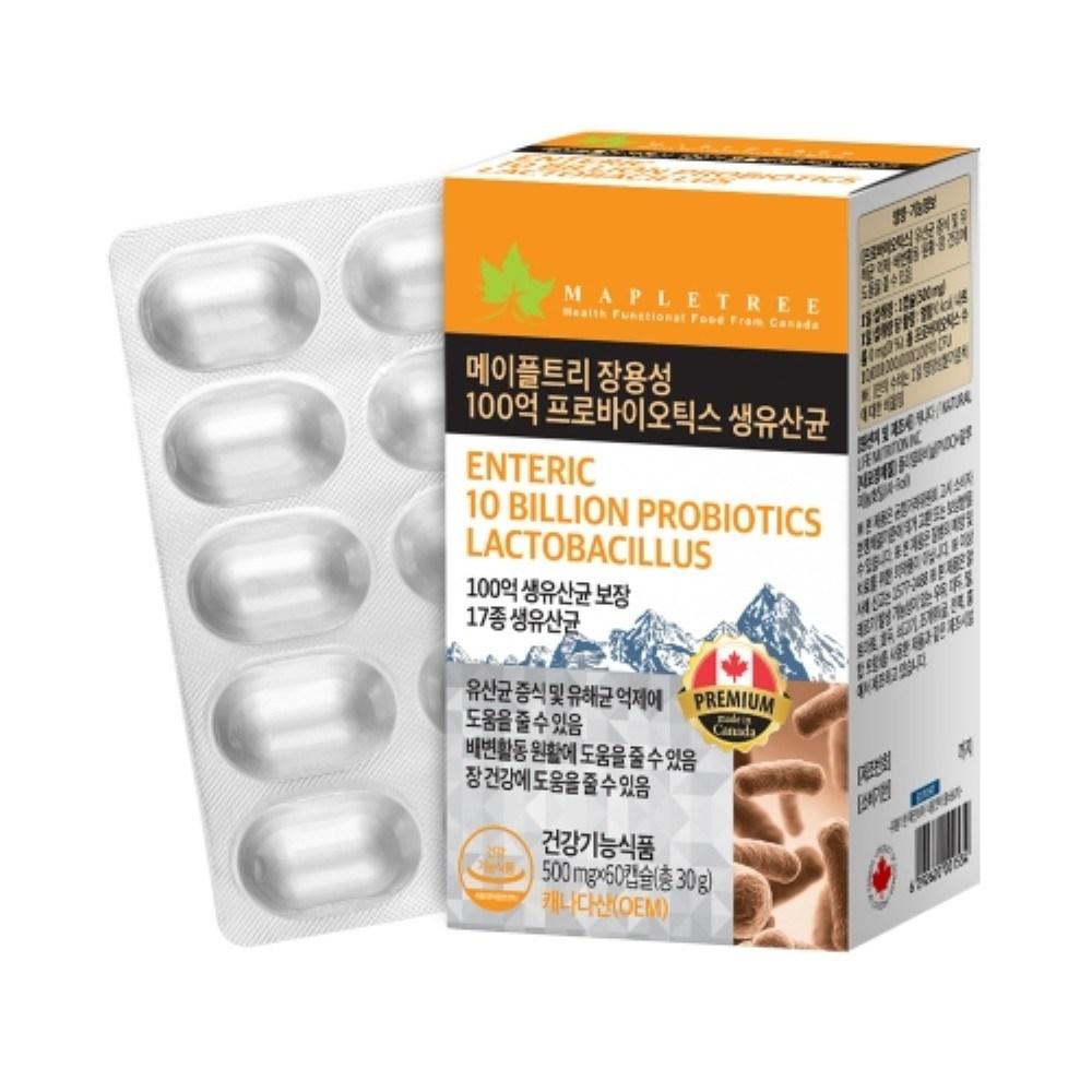 Maple Tree Enteric-Coated 10 Billion Probiotics Live Lactic Acid Bacteria 500mg x 60 Capsules 1 Box