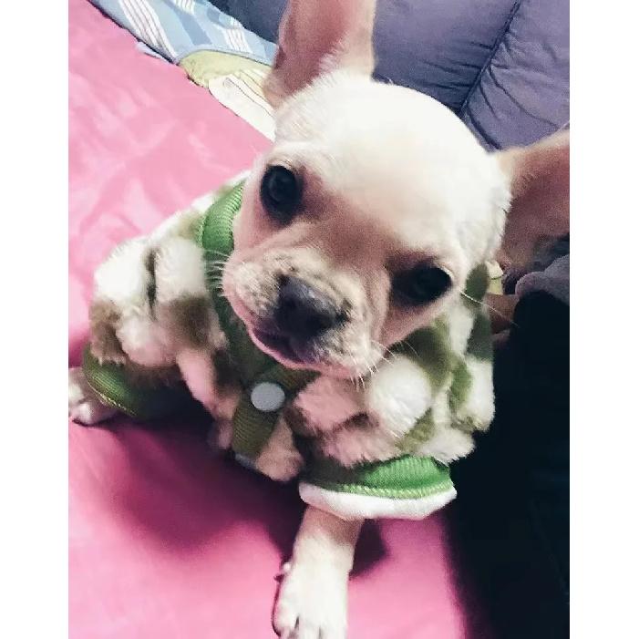 French Bulldog Winter Dog Clothes Coat Warm and Thickened Vest Jacket Fat Dog Costume Bulldog Pug Green Plaid Pet Dog Clothes