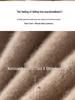 Women's 100% Cashmere Raglan Sleeve Sweater - Half-High Neck Knitted Pullover for Autumn & Winter