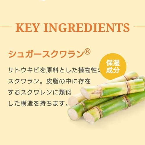 Official Steam Cream Japanese Citrus 75g [Made In Japan] STEAMCREAM Moisturizing Body Wash (Face/Body/Hands/Hair/Massage) Oatmeal Citrus Iyokan Ponkan