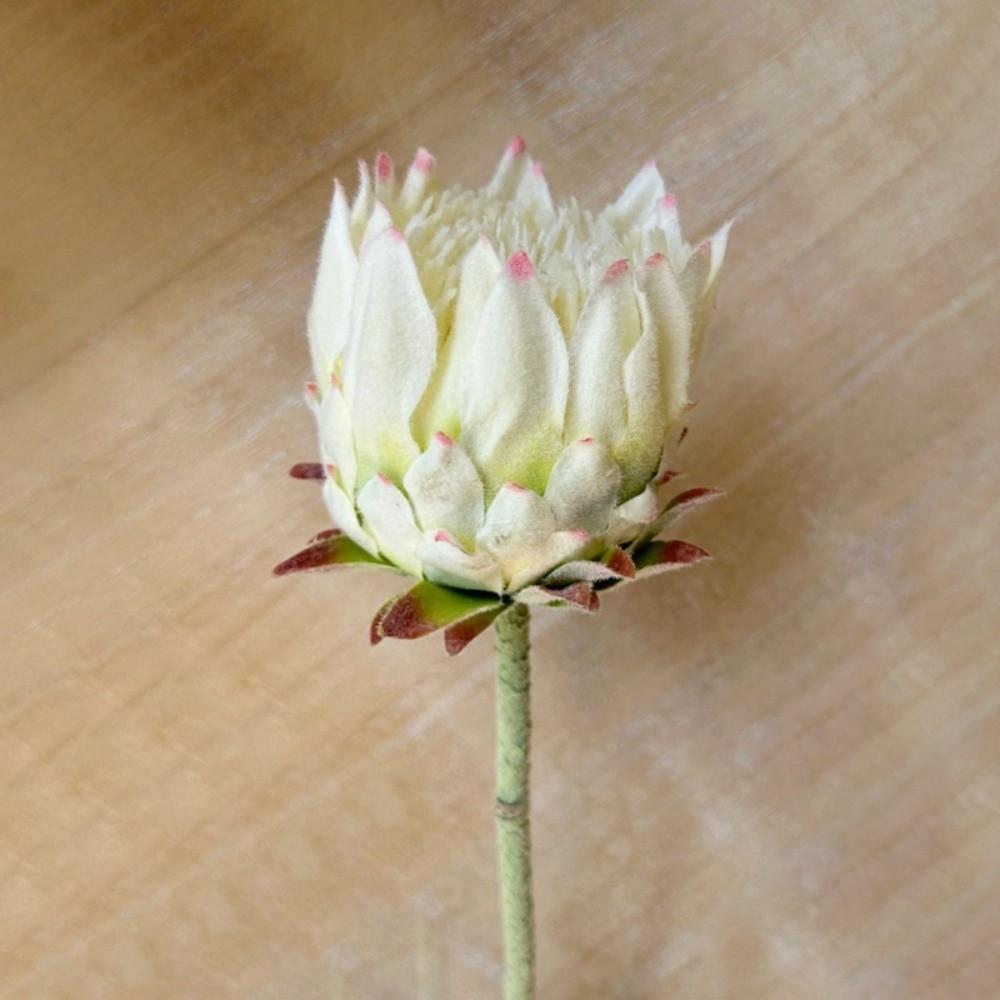 Реалистичный искусственный цветок Многоцветная Королевская Протея Цветочная композиция белый