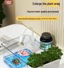 Compact Turtle Breeding Aquarium with Ecological Landscaping for Home or Office