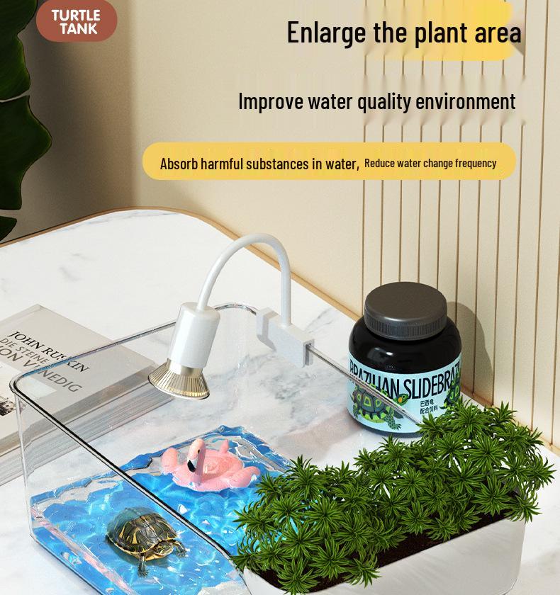 Compact Turtle Breeding Aquarium with Ecological Landscaping for Home or Office
