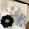 Accesorii pentru păr – Benzi de păr pentru doamne