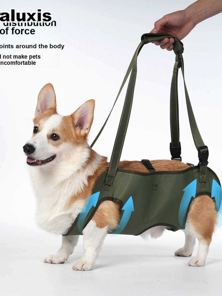 Neues Unterstützungsharness für ältere Hunde, Hunde mit Behinderungen, Rehabilitations-Gehleine