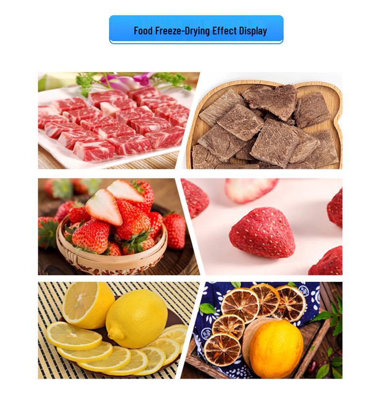 Multi-Purpose Vacuum Freeze Dryer: For Fruits, Vegetables, Meat, Seafood, Pet Biscuits