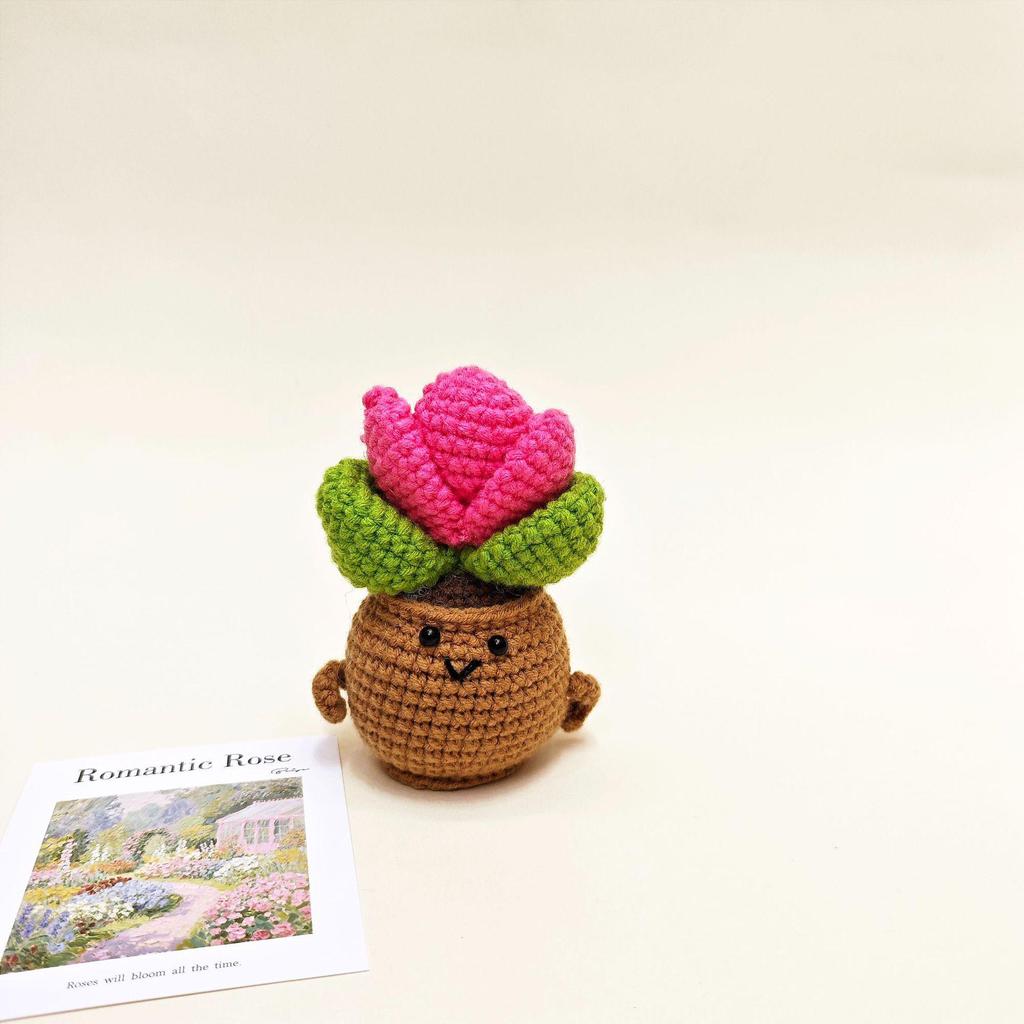 Tulip Cactus Heart Crochet Succulent Home Decor Plant