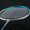 Double Fish Guldvinge Badmintonracket Parset